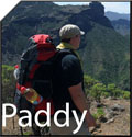 Paddyderbaer