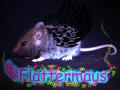 Flattermaus