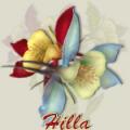 Hilla