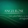 Angelrose