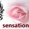 sensation88