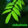 oldbobbele