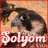 Solyom