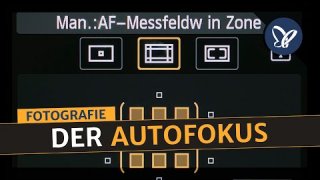 Digitale Fotografie: Der Autofokus